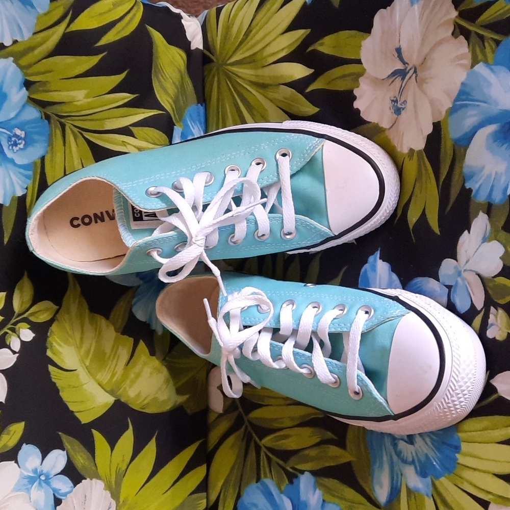 Converse All Star Chuck Taylor Sneakers